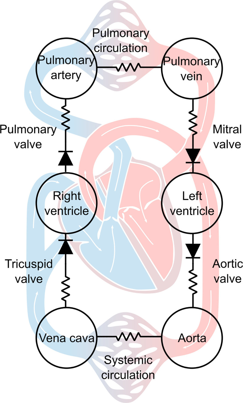 Fig 2