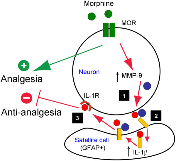 Figure 9