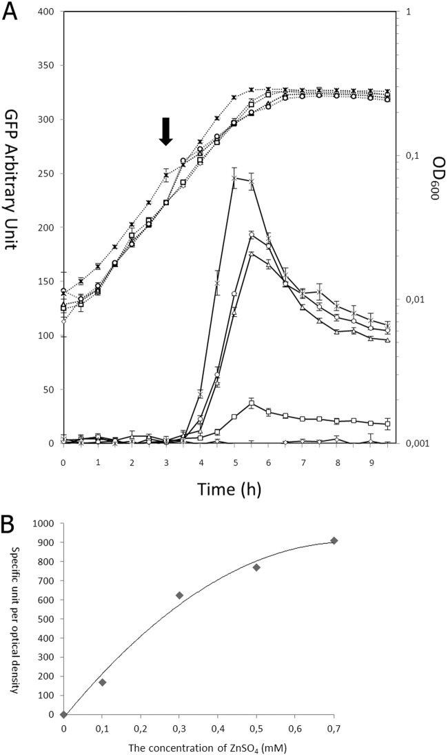 Fig 3