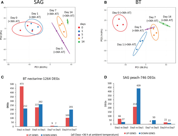 Figure 2