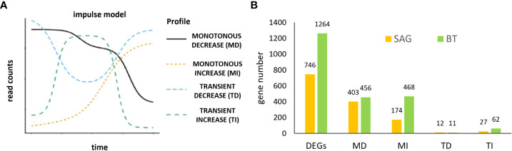 Figure 3