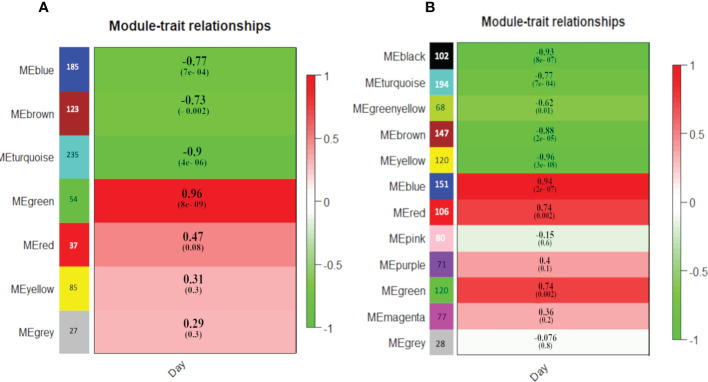 Figure 6