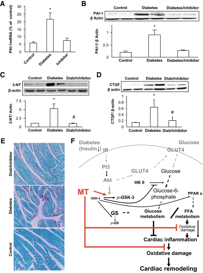 FIG. 8.