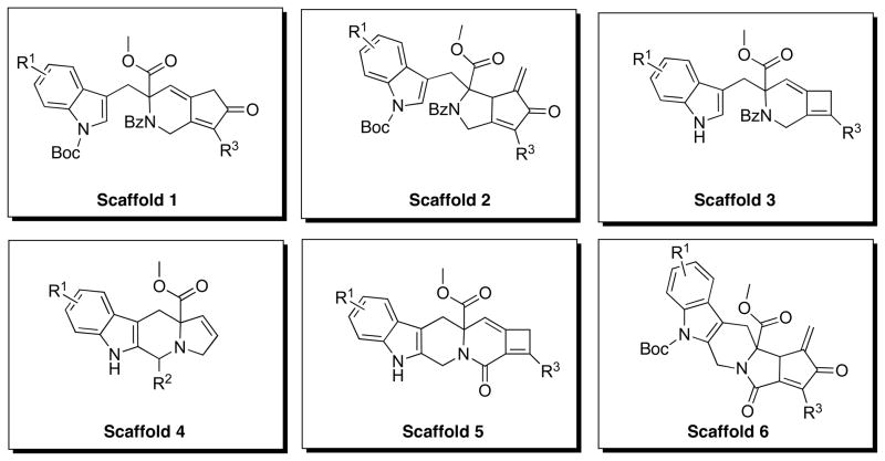 Scheme 5