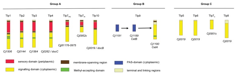 Fig. 2.