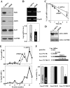 FIGURE 6: