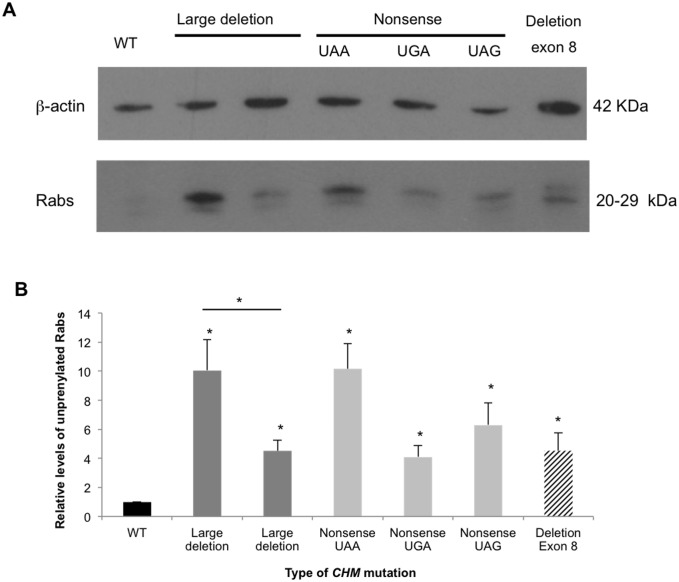 Fig 3