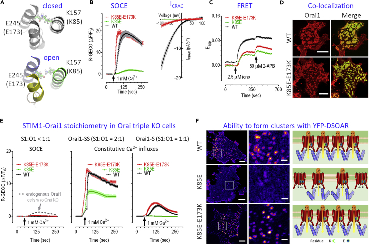 Figure 4