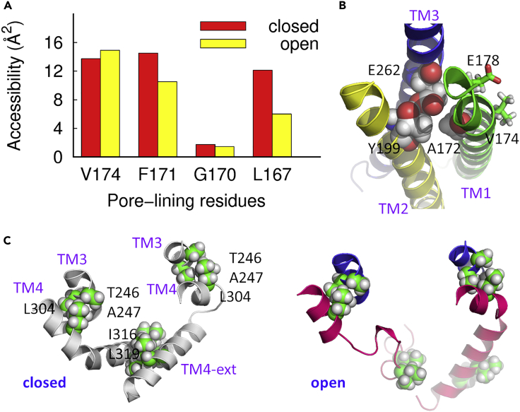 Figure 3