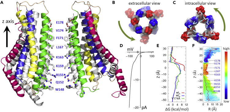 Figure 1