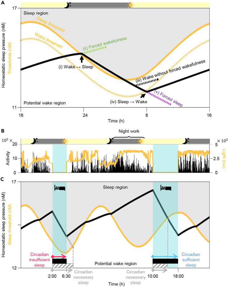 Figure 2