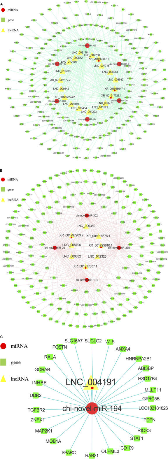 FIGURE 6