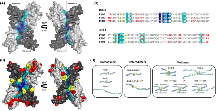 FIGURE 2