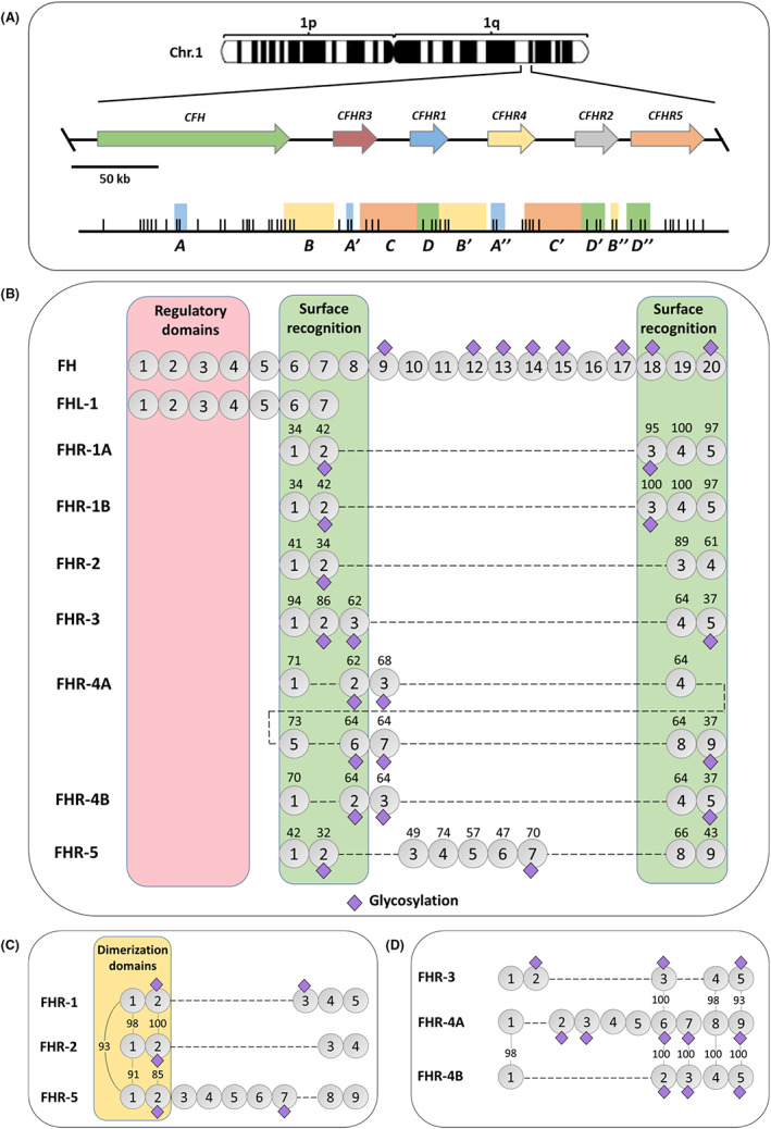 FIGURE 1