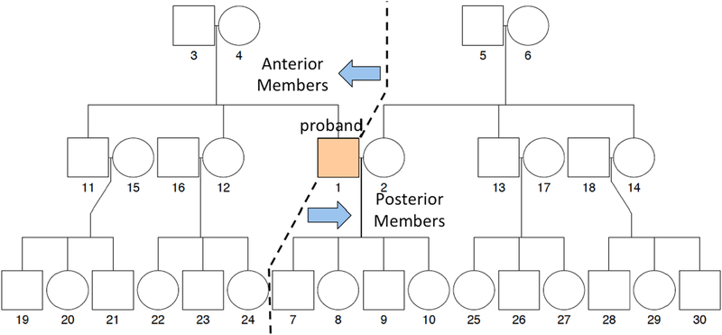 Figure 1: