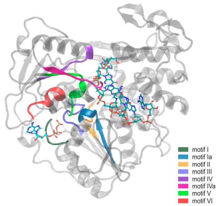 Figure 1.