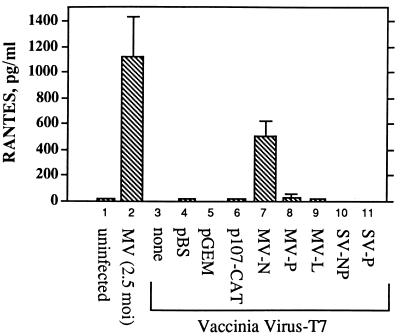 FIG. 7