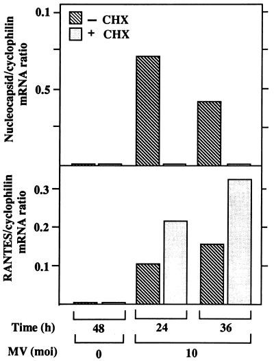 FIG. 6