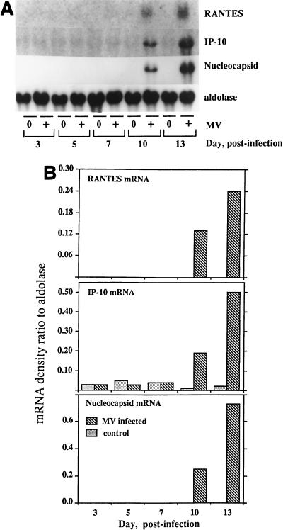 FIG. 8