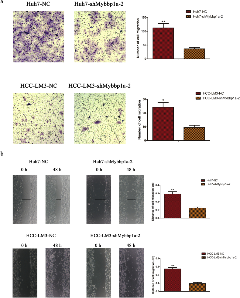 Supplementary Fig. 6