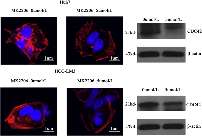 Supplementary Fig. 8