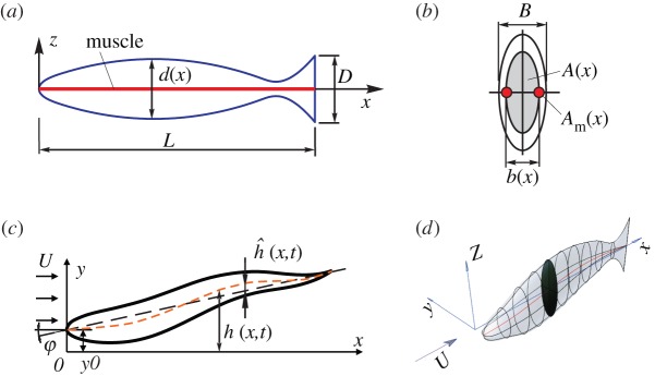 Figure 1.