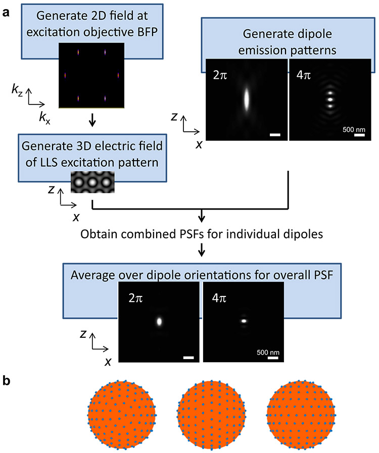 Extended Data Figure 1.