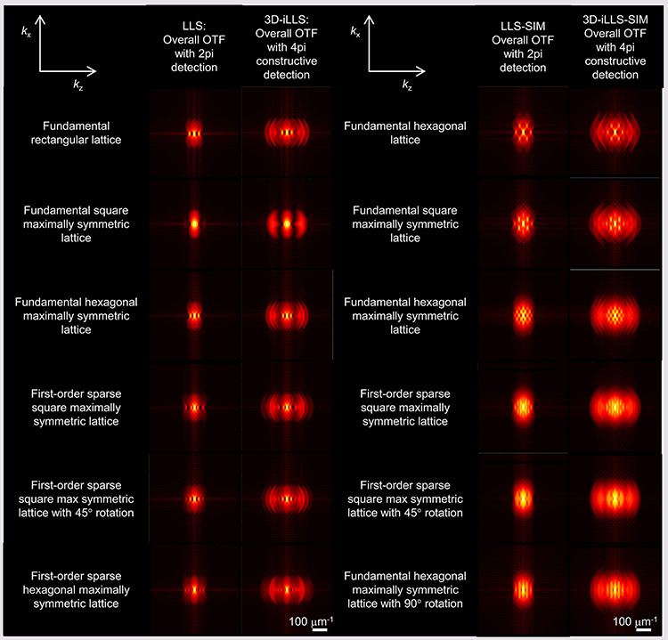 Extended Data Figure 6.