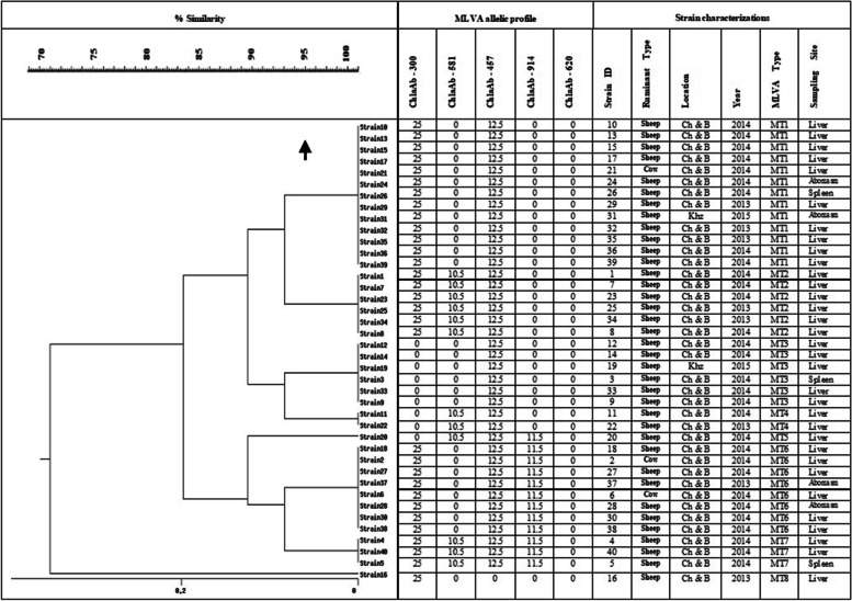 Fig. 7