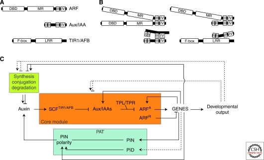 Figure 1.