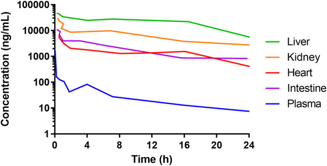 FIGURE 3