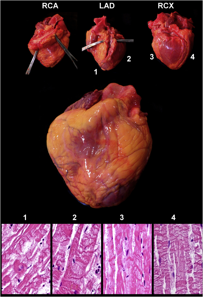 Figure 9