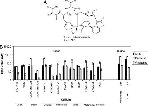 Fig. 1.