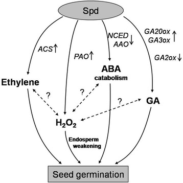 Fig. 8