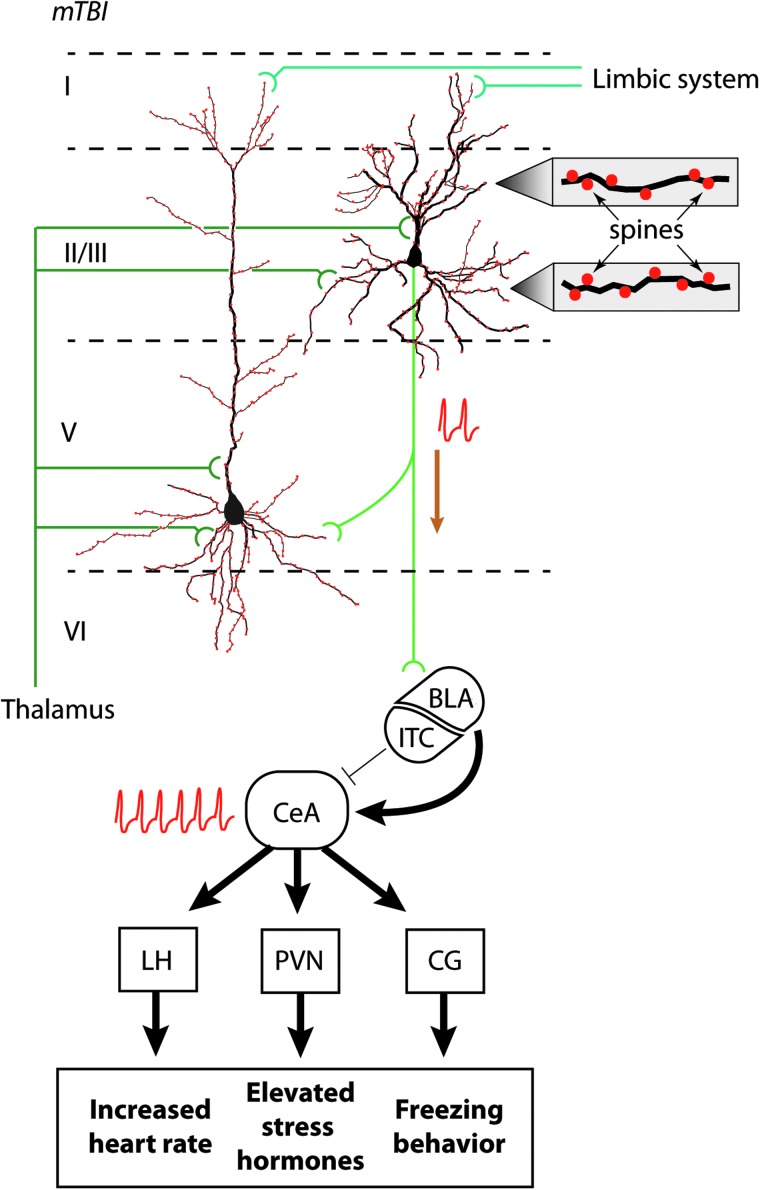 FIG. 6.