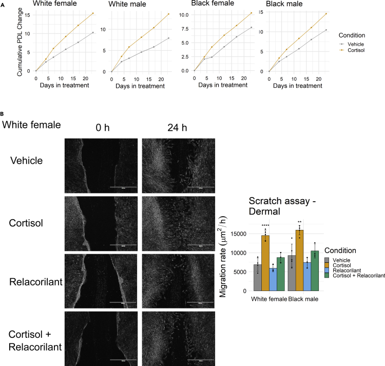 Figure 2