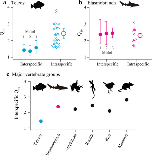 Thermal Sensitivity Of Metabolic Rate Mirrors Biogeographic Differences