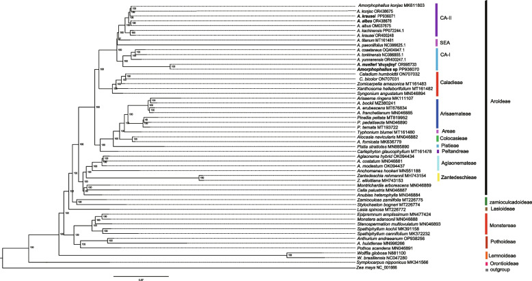 Fig. 9