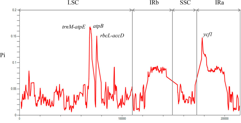 Fig. 7