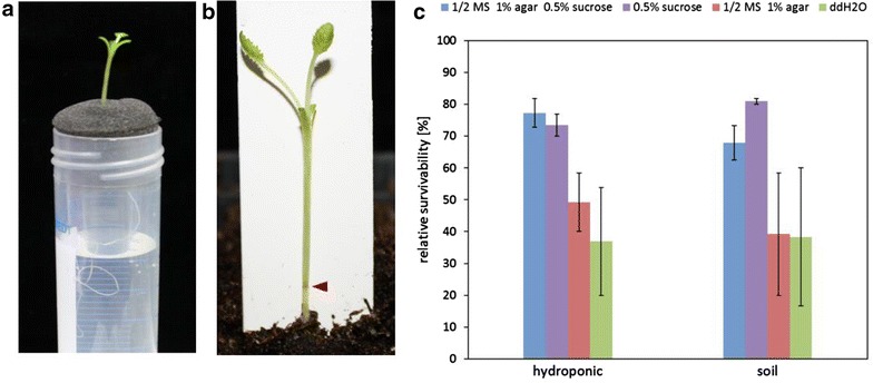 Fig. 3