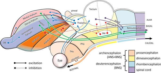 Fig. 6