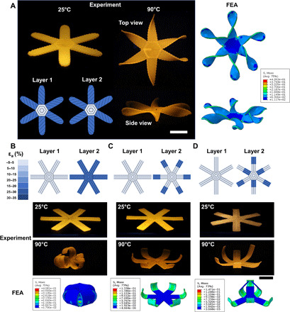 Fig. 4