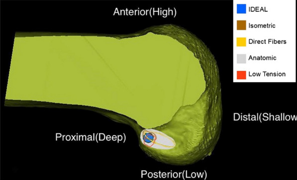 Fig. 2