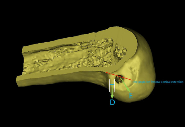 Fig. 5