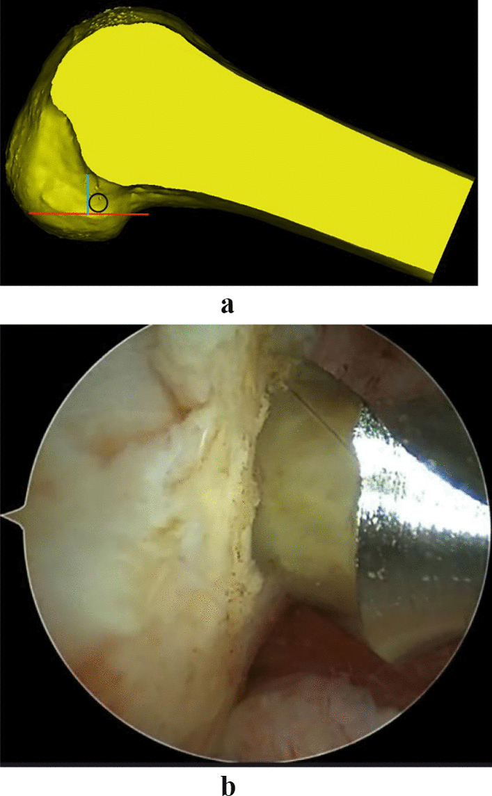 Fig. 3