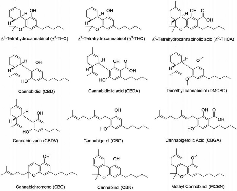 Figure 1: