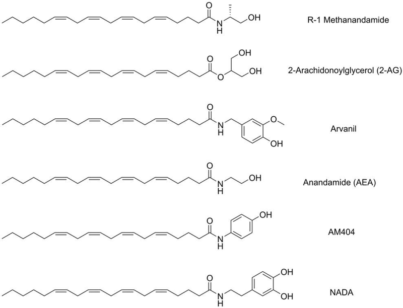 Figure 6: