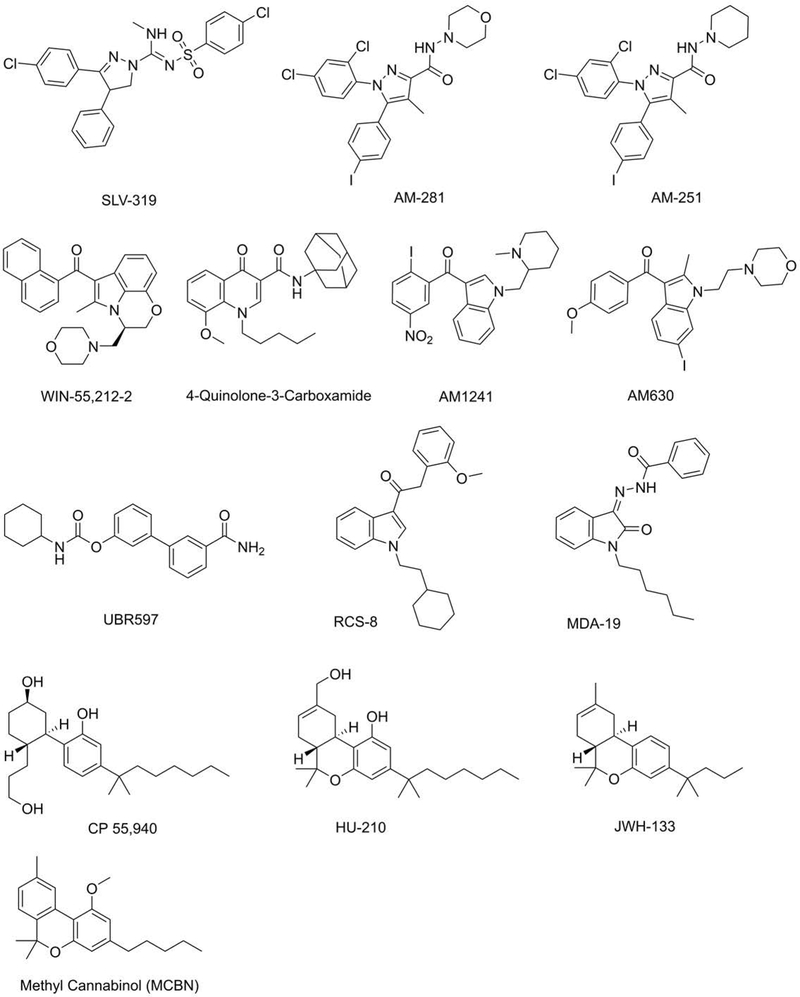 Figure 5: