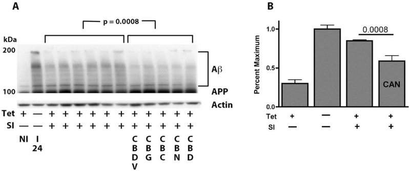 Figure 4: