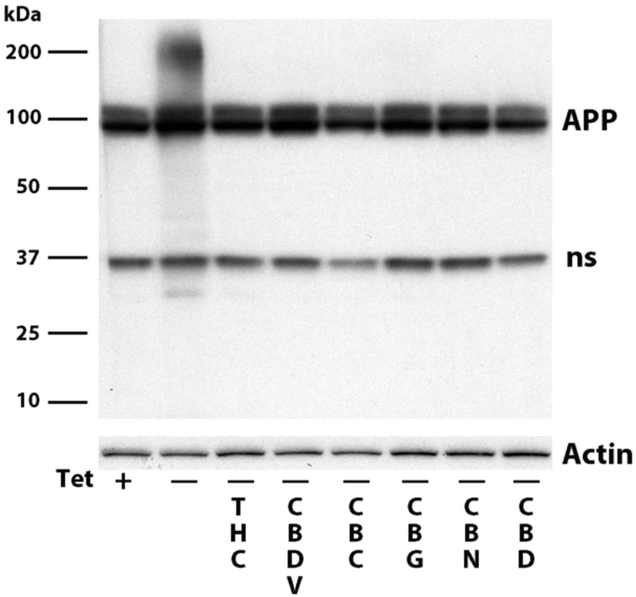 Figure 3: